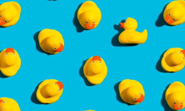 DIZZYDUCK’S VISUAL FIXATION SYSTEM AT 100% OPTICAL
