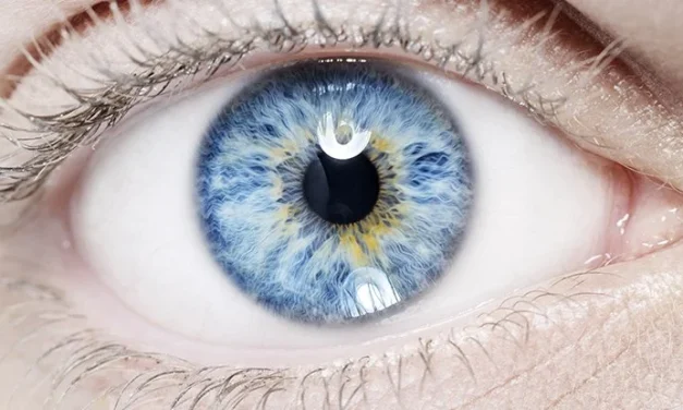 Scientists Detect Intriguing Differences in The Eyes of Children With Autism And ADHD