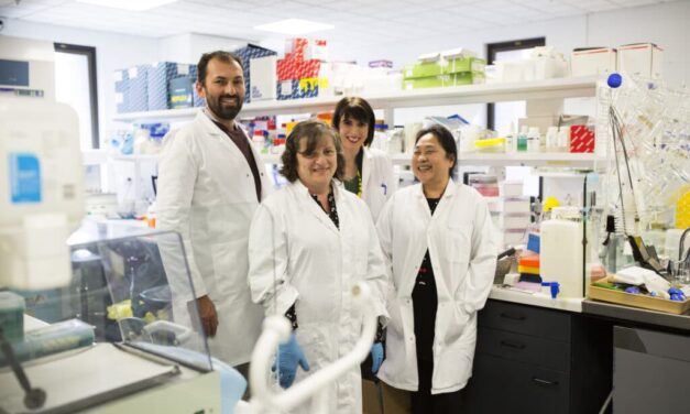 Glaucoma stem cell research could help develop new drugs to combat disease