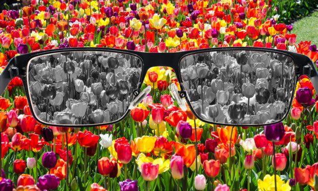 University creates bespoke 3D printed glasses to correct colour blindness