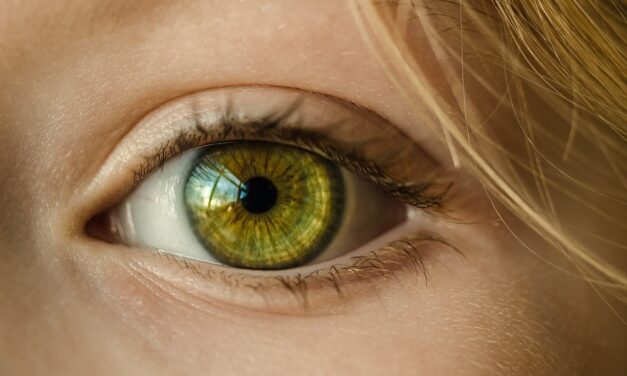 New study shows repeated stress accelerates aging of the eye