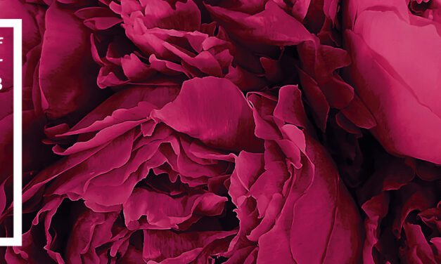 Colour of the Year 2023