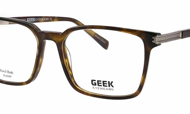 GEEK EYEWEAR® model “Agent”