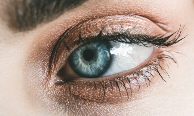 Eyelid Warming Devices: Safety, Efficacy, and Place in Therapy