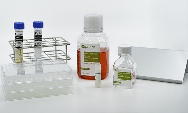 ZEISS Ventures invests in life science start-up InSphero to drive 3D cell culture research