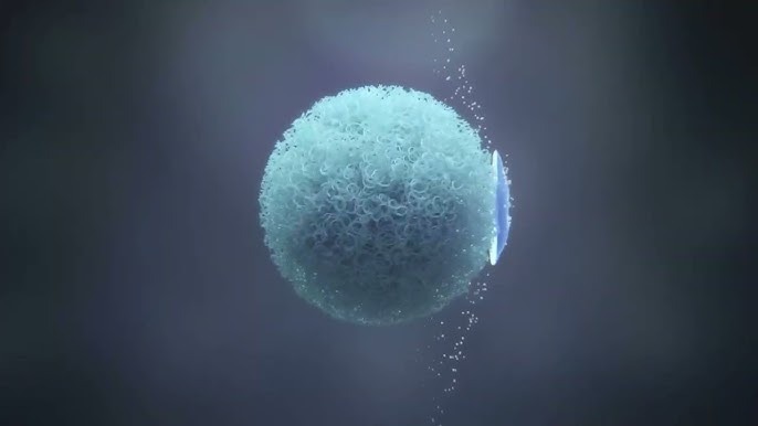 Meta Ray-Ban Smart Glasses Now Support Prescription Lenses for Enhanced Everyday Use