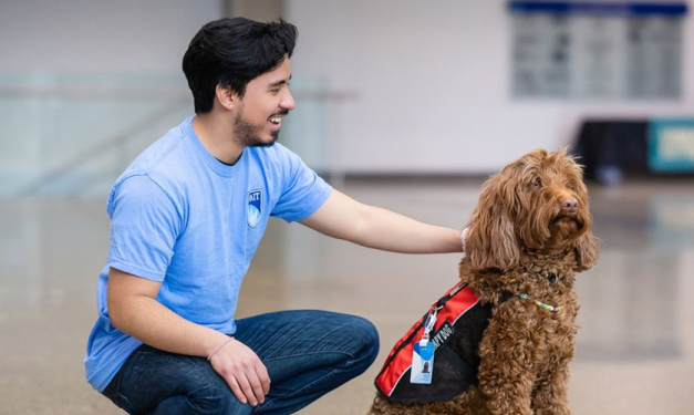 NAIT wellness dog of more than a decade retires
