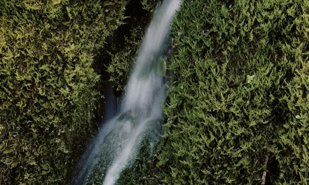 Kering unveils its first dedicated water strategy for a net positive impact by 2050