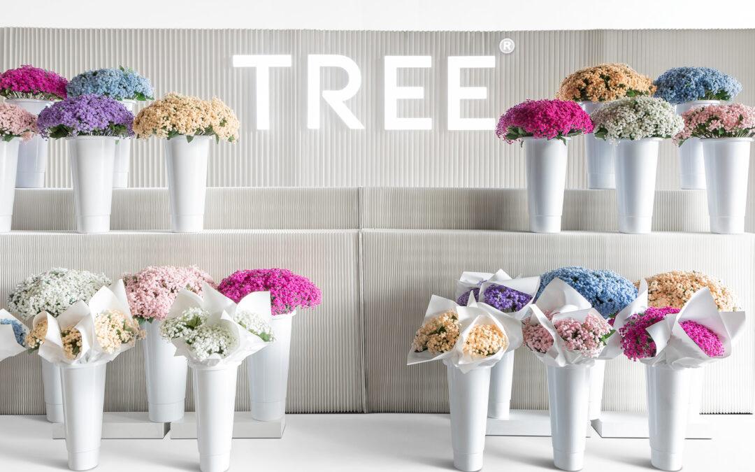 TREE SPECTACLES announces THE AYRA COLLECTION