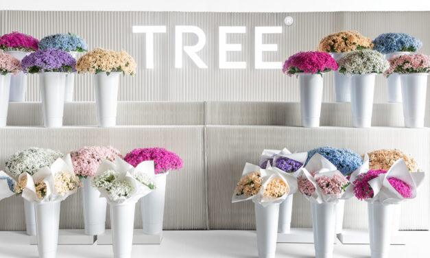 TREE SPECTACLES announces THE AYRA COLLECTION