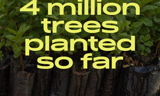 ECO announces their “One Frame, One Tree!” social initiative officially planted 4 million trees!