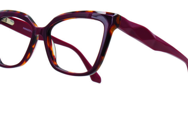 PARADOX P5102 is the kind of frame that changes the whole mood—instantly.