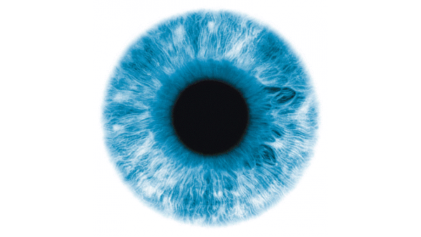 Canada Red Eyes Treatment Options: Dry Eye and Blepharitis Patient Guide Released